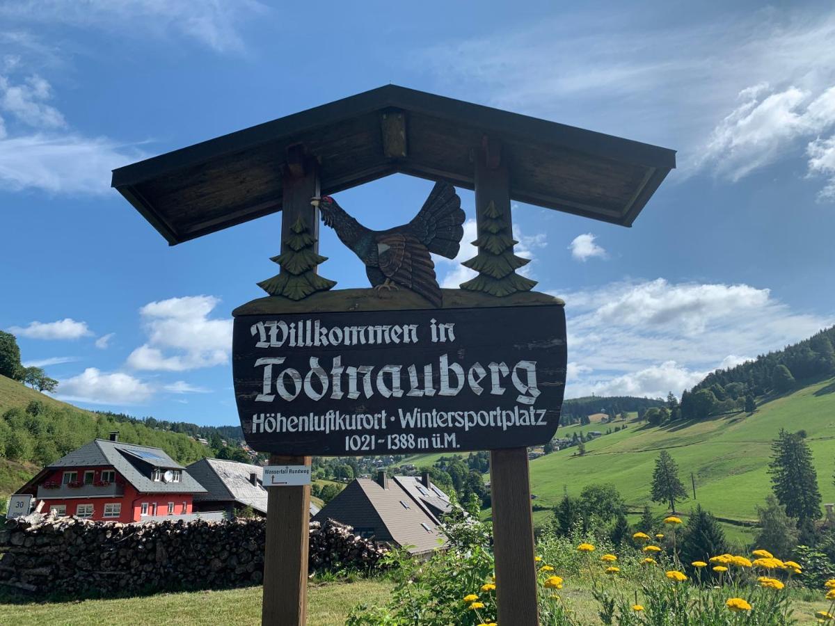 Residenz Schauinsland Todtnauberg - Fewo 17 - Sauna - Spielzimmer Fuer Kinder - Naehe Feldberg Exterior photo