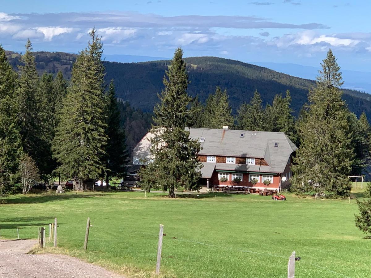 Residenz Schauinsland Todtnauberg - Fewo 17 - Sauna - Spielzimmer Fuer Kinder - Naehe Feldberg Exterior photo